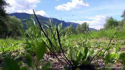 Amlach near Spittal/Drau