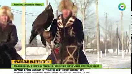 Искусство беркутчи возрождают в Казахстане