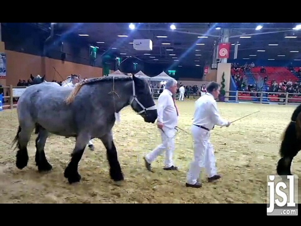 traits auxois au salon de l'agriculture