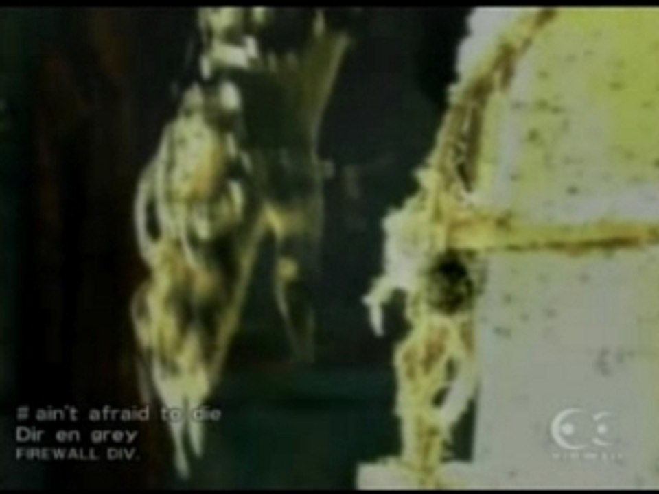 Dir En grey-Ain't Afraid To Die