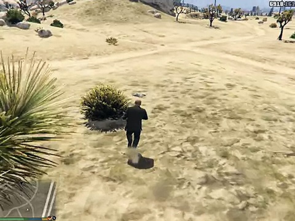 Охота на птиц ВАлим по птицам GTA 5