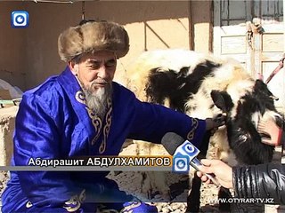 В ЮКО живет теленок, у которого шесть ног и три рога