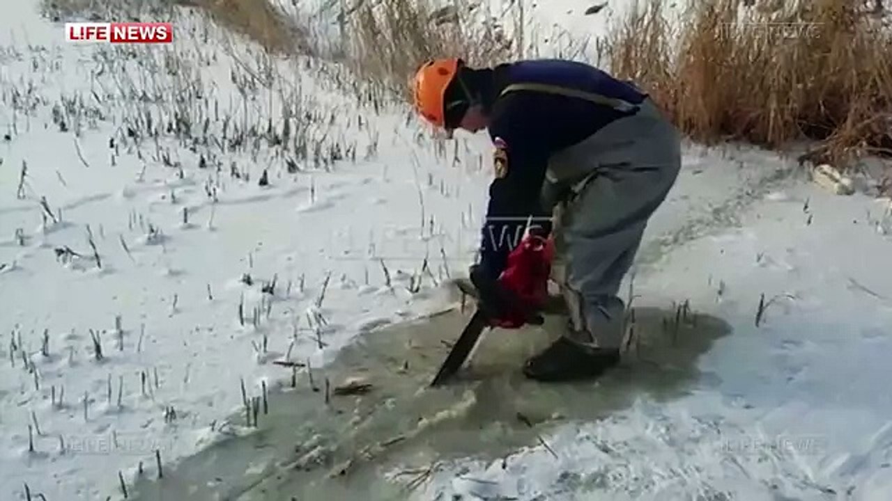 В Якутии спасли корову, провалившуюся под лед