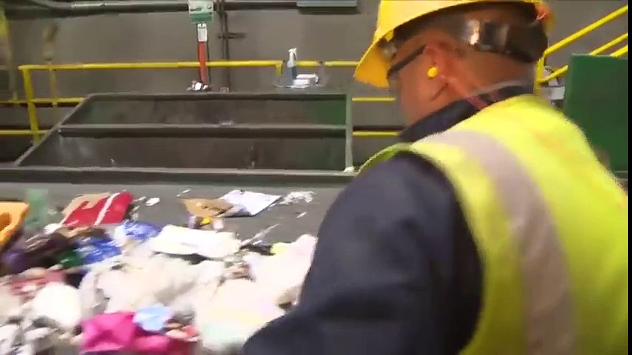 Geri Dönüşüm Merkezi Aktarımlarını Geçen Mucizevi Yavru Kedi