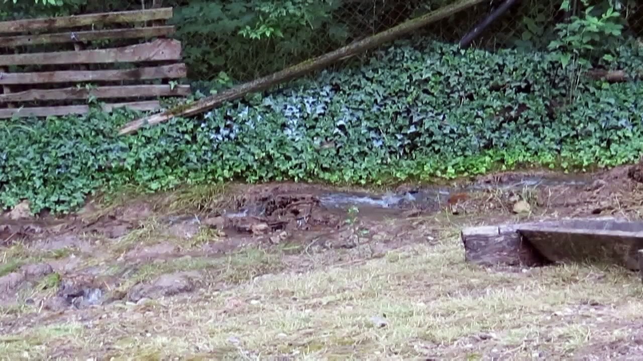 MALOM CSÁRDA - CSOPAK