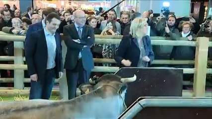 Marine Le Pen : "Je soutiens de manière inconditionnelle" les agriculteurs en colère
