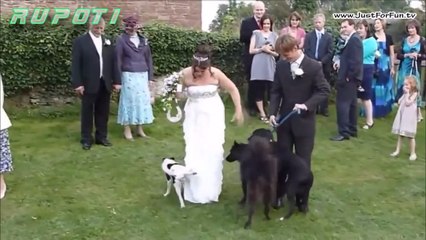 Top Wedding Funny Fail Moments - 2016 Compilation