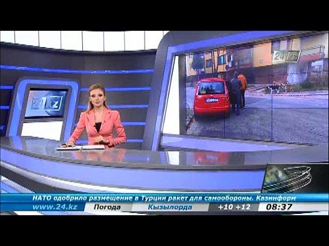 В Боснии бродячие собаки нападают на людей