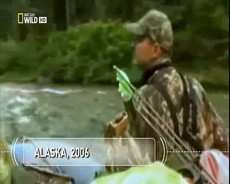 Жесть Атака медведя на человека_животные_медведь убийца_нападение медведя на человека_онлайн_жесть