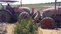 tractor Kubota M6040SU VS Kobuta M6040SU,​ stuck, videos, fail, accidents, on farm in camb