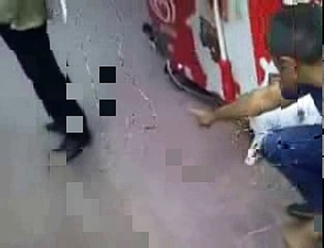 Кот напал на крупную собаку