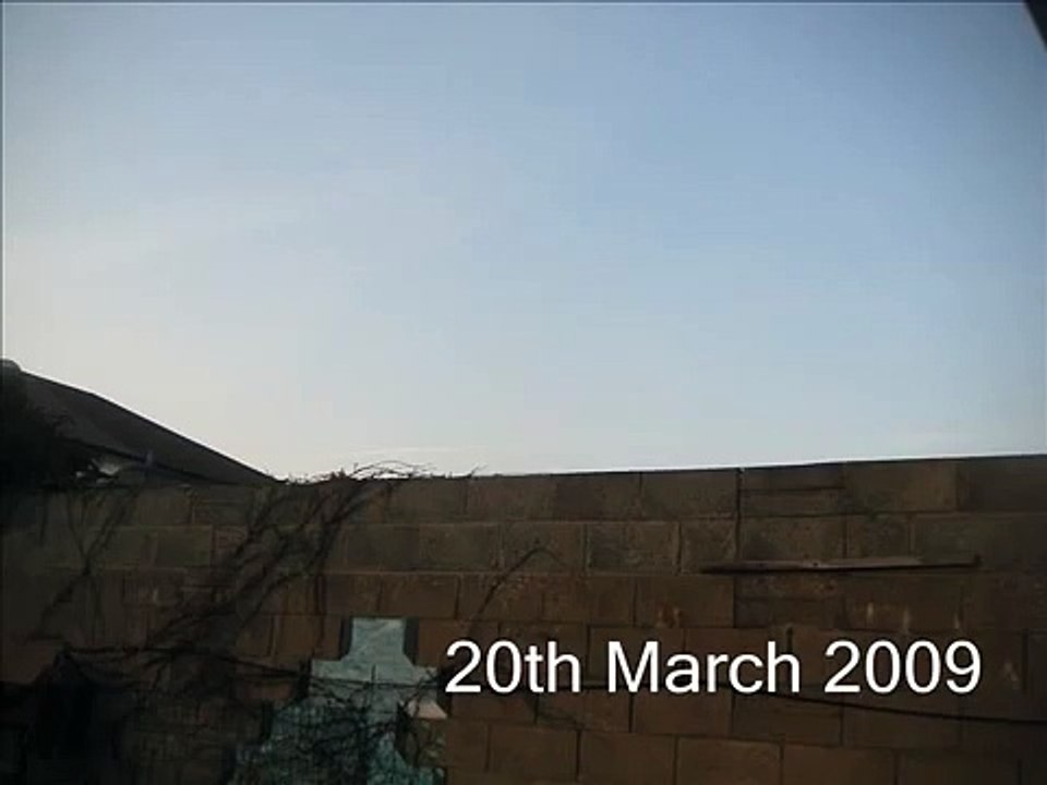 (Video 11) 20th march 2009