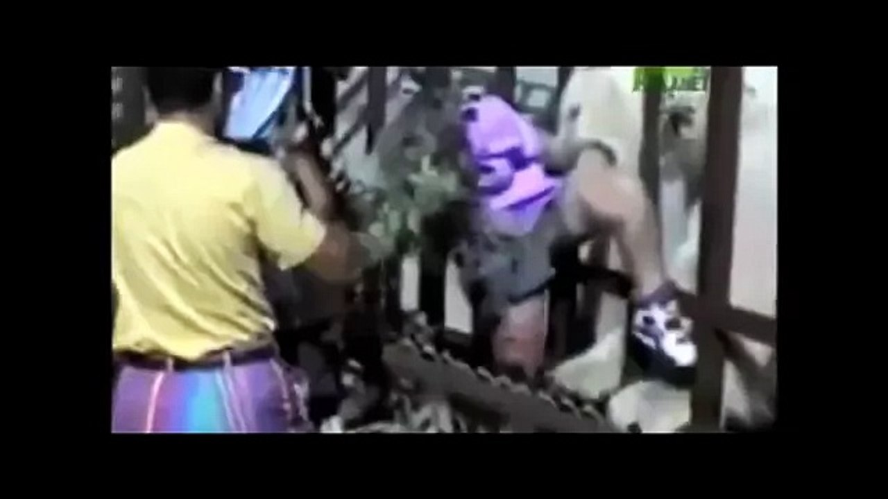 Полярный медведь атакует женщину
