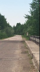 Вуктыл два наглых зайца на дороге