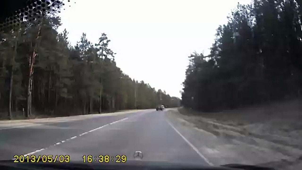 Дорога на Улыбышево. Заяц и лиса
