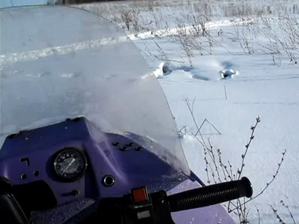 Заяц в норе под снегом_Hare under snow