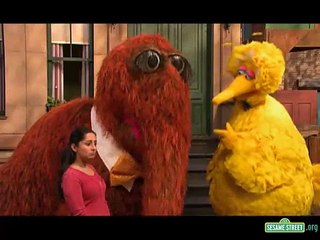 Sesame Street - Big Bird and Snuffy Talent Show