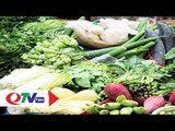 Bất an vì rau không rõ nguồn gốc | QTV