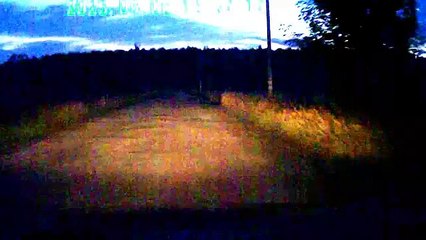 Заяц выбегает на дорогу в свете фар