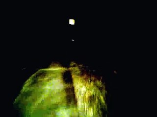 Заяц выскочил на дорогу