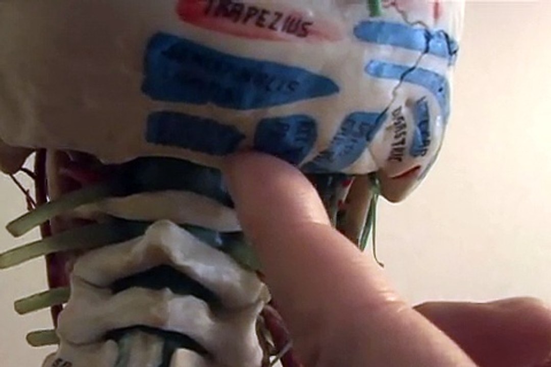 花粉症 うつ病 めまい メニエール病　頭痛 不眠症 顎関節症　治療11