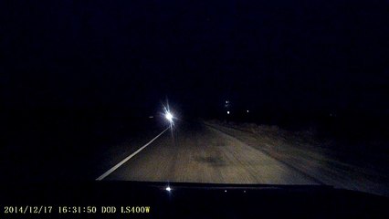 Заяц на дороге