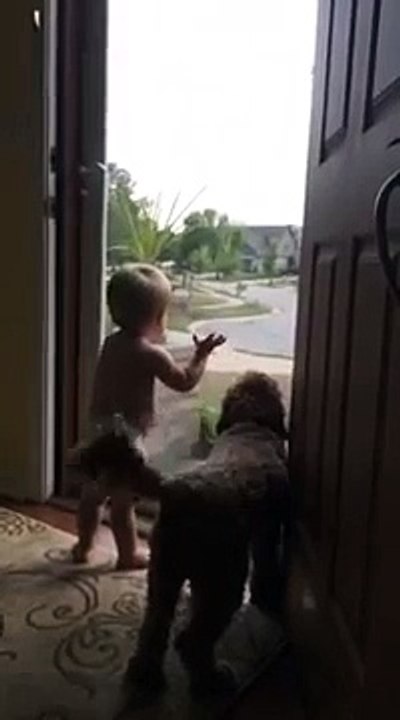 Babasının Eve Gelişini Görünce Heyecandan Çıldıran Minik Ufaklık ve Sevimli Köpeği