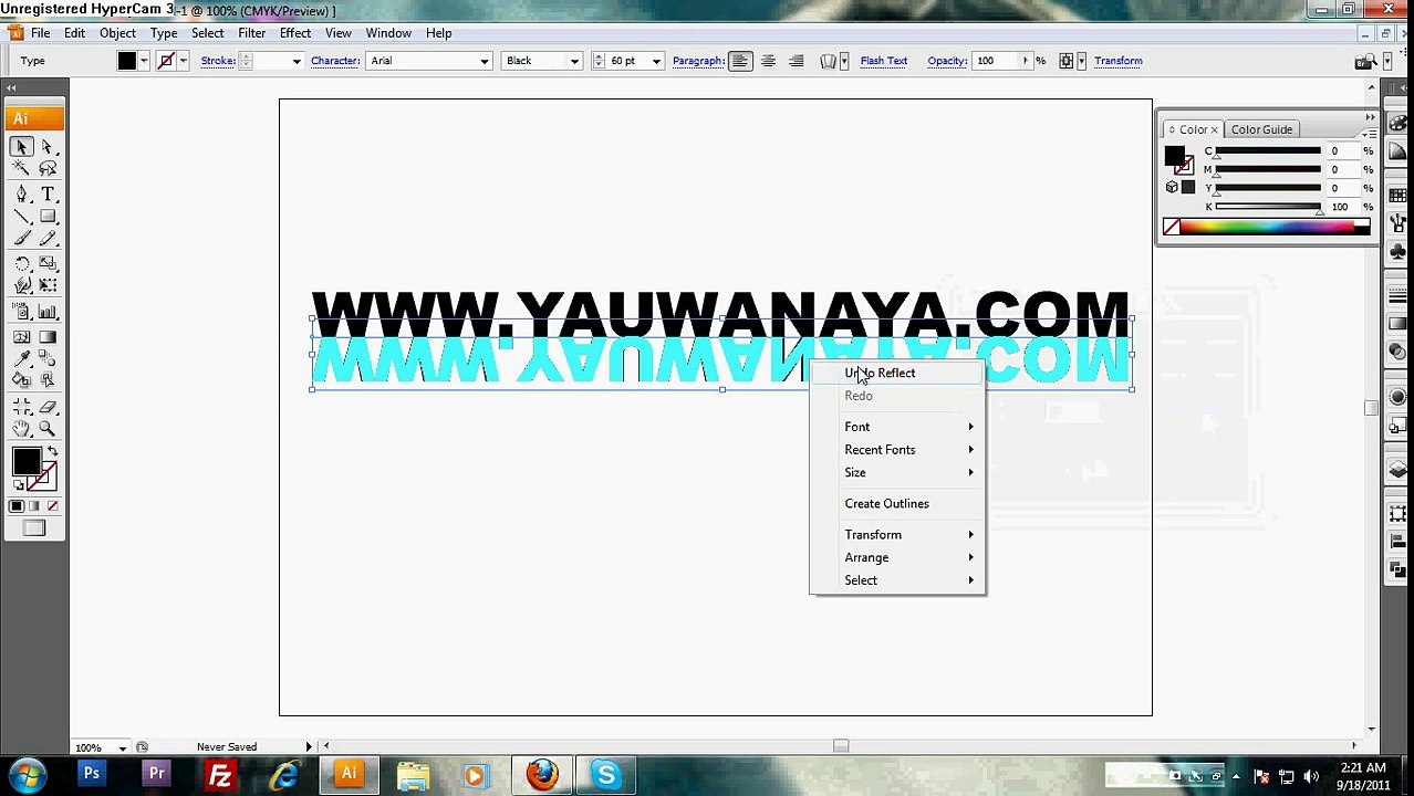 How to make mirror for illustrator