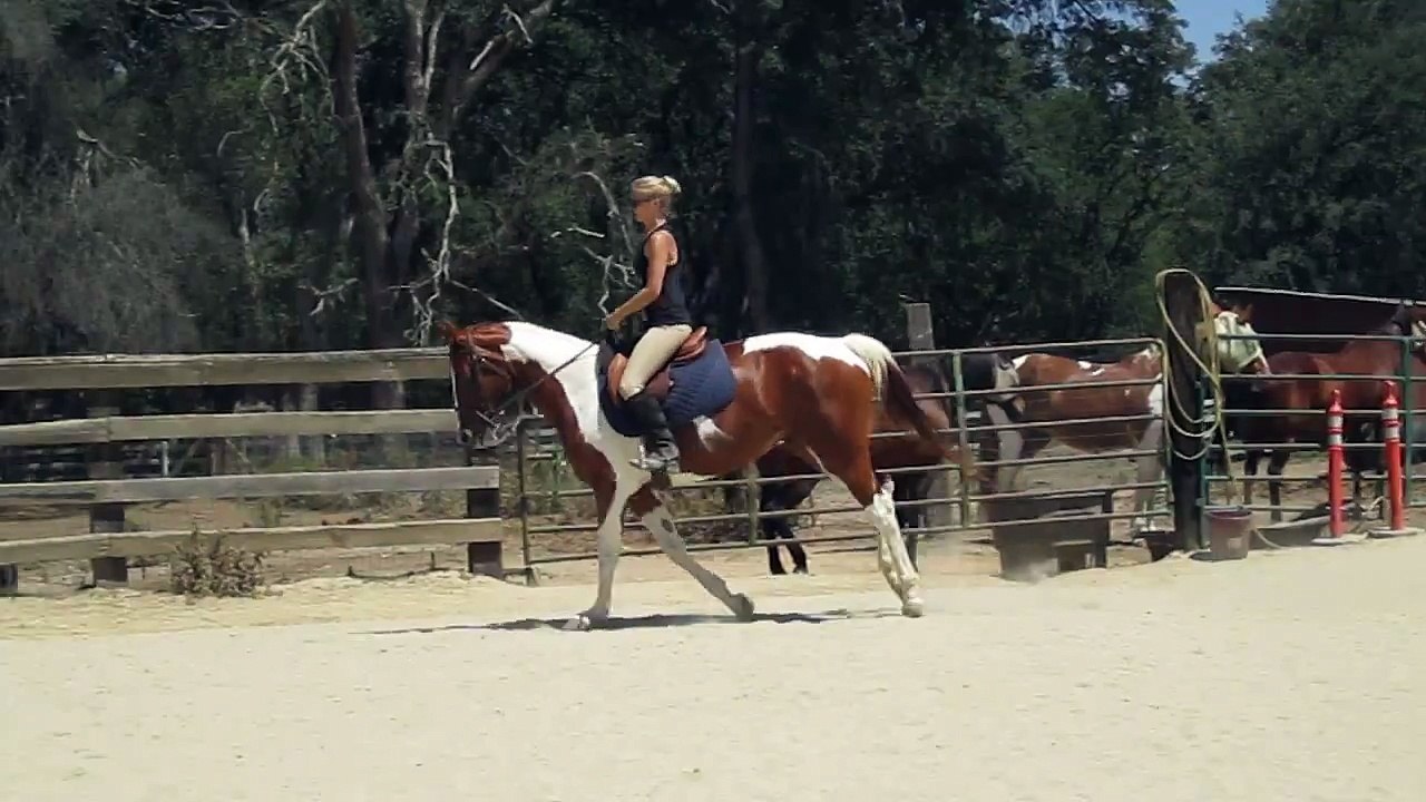 Epona