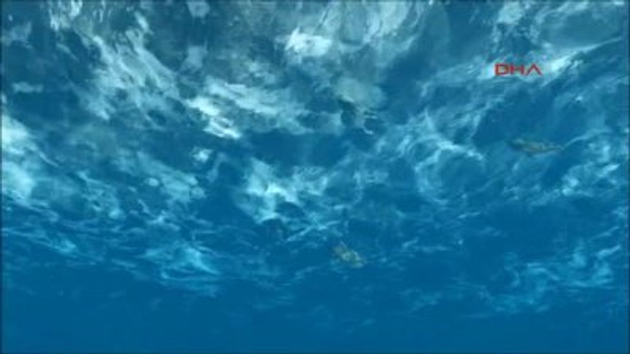 Erzurum - Tortum Gölü'ne, Cam Seyir Terası