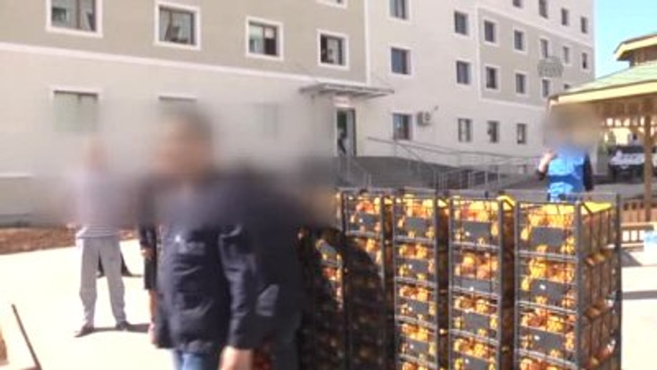 Sur'daki Güvenlik Güçlerine Narenciye Desteği - Diyarbakır