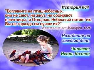 Птицы небесные. История 004. (... Есть Царство Небесное. Юст Миллер-Бон).