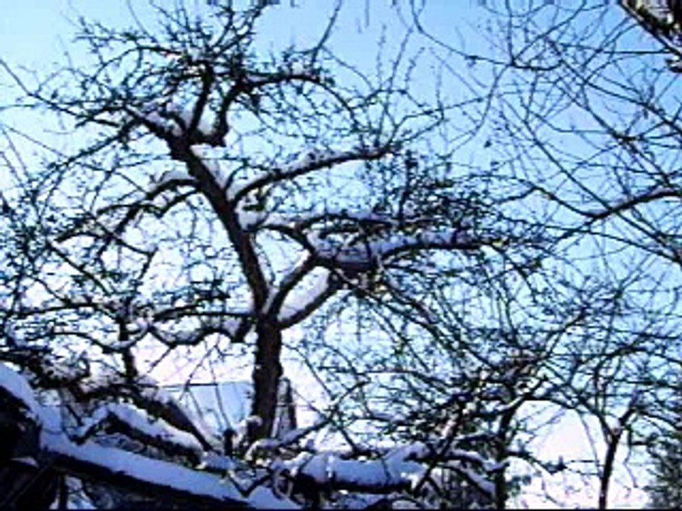 12 Grad Minus mit knarzendem Stativ