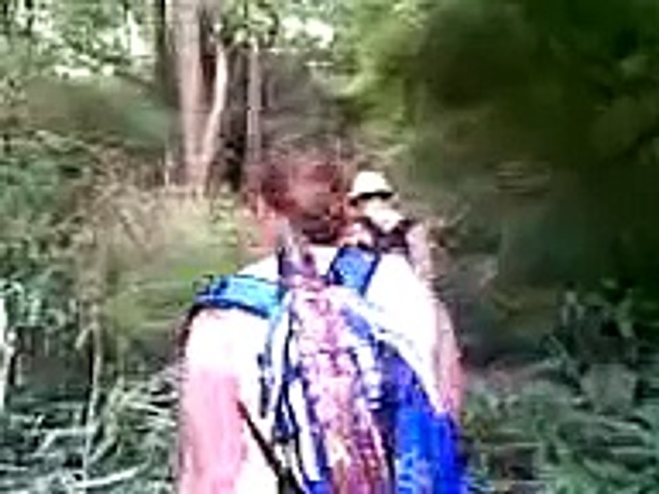 Welcome To The Jungle