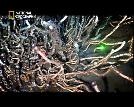 Les abysses | Documentaire Film 2016