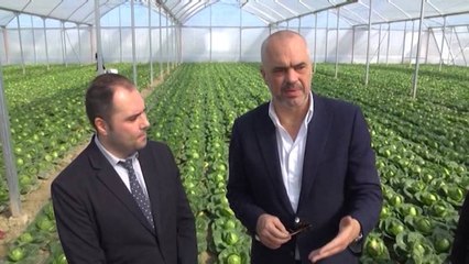 Projekti i Ramës për bujqësinë: Për 100 ha fermë, do të japim 1 mln $ në 5 vjet