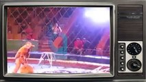 . Lion attacks and mauls trainer during circus show in Ukraine -