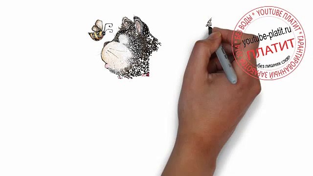 Как нарисовать красивого кота карандашом за 24 секунды