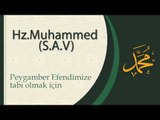 Peygamber Efendimize Tabii Olmak - Sorularla İslamiyet
