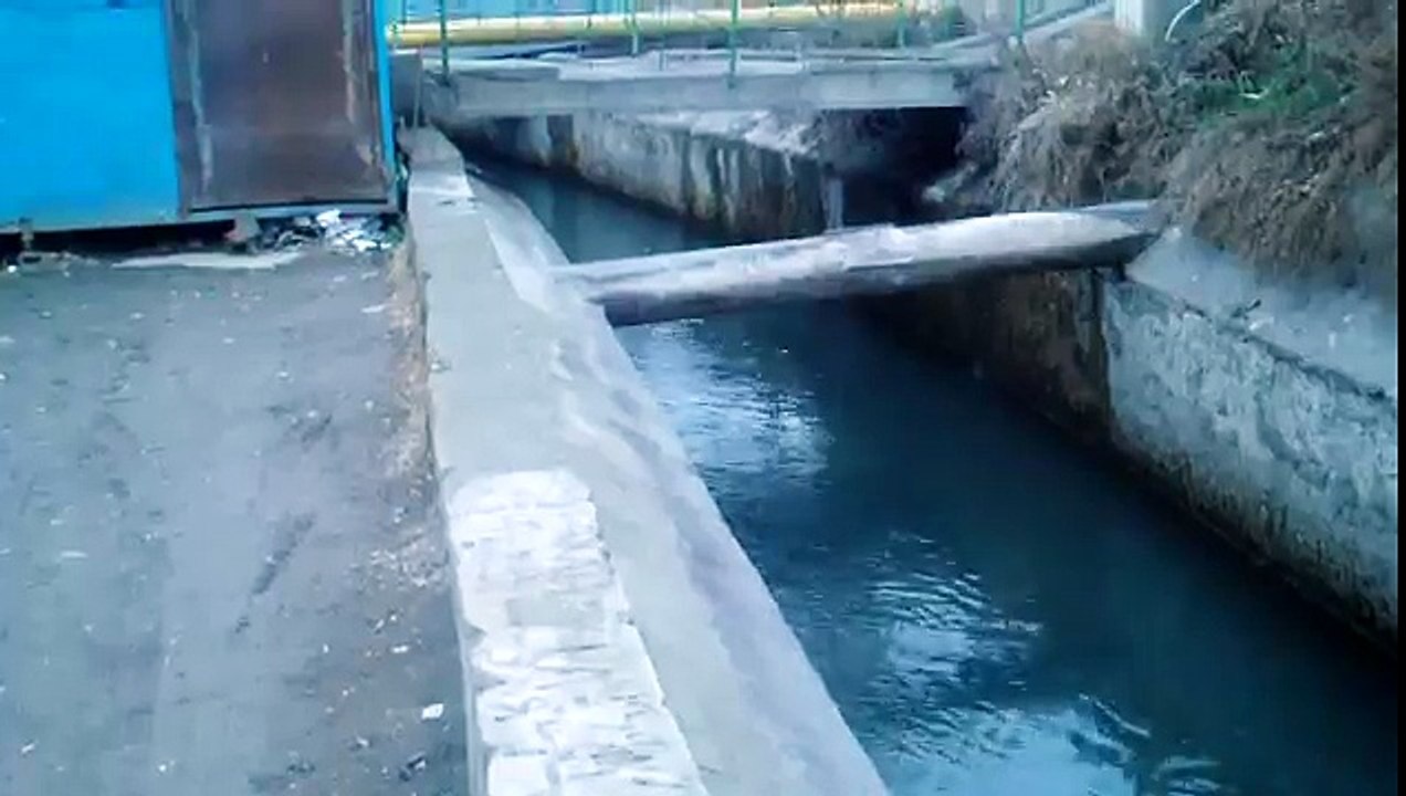 каналда агып жаткан тунук суу