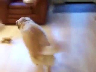 trop fort....jamais reussi avec mes fils