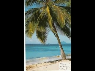 Martinique janv-fev 2005