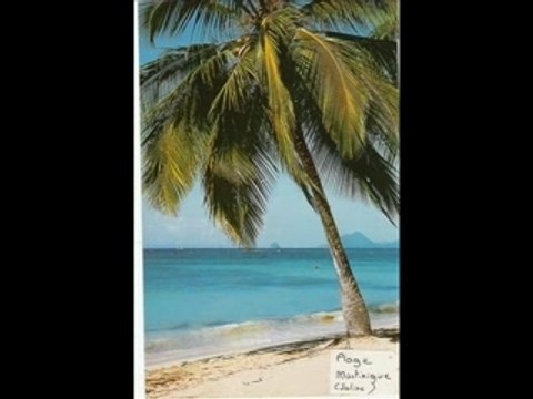 Martinique janv-fev 2005