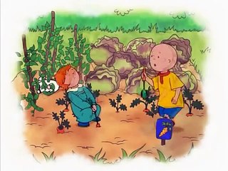 Caillou 5x43 Las Zanahorias Desaparecidas - Caillou en español