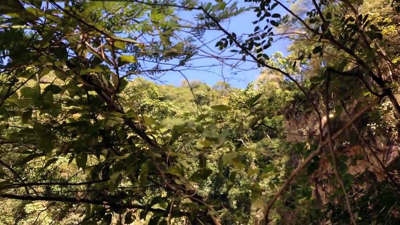 CAMINATA A HONDURA DEL LUCERO, CASCADA EN PUERTO ESCONDIDO.