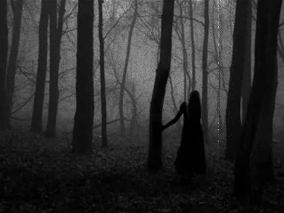 Forêt Obscure - Forêt Obscure