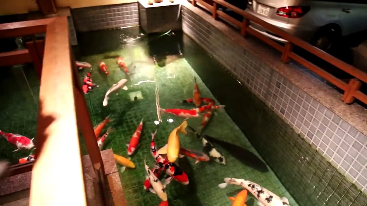 Koi360.com: Pond in front of Izumiya Ryokan