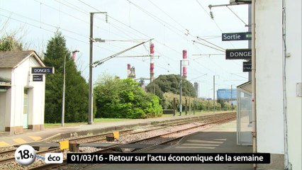 18h Eco : les Tigres