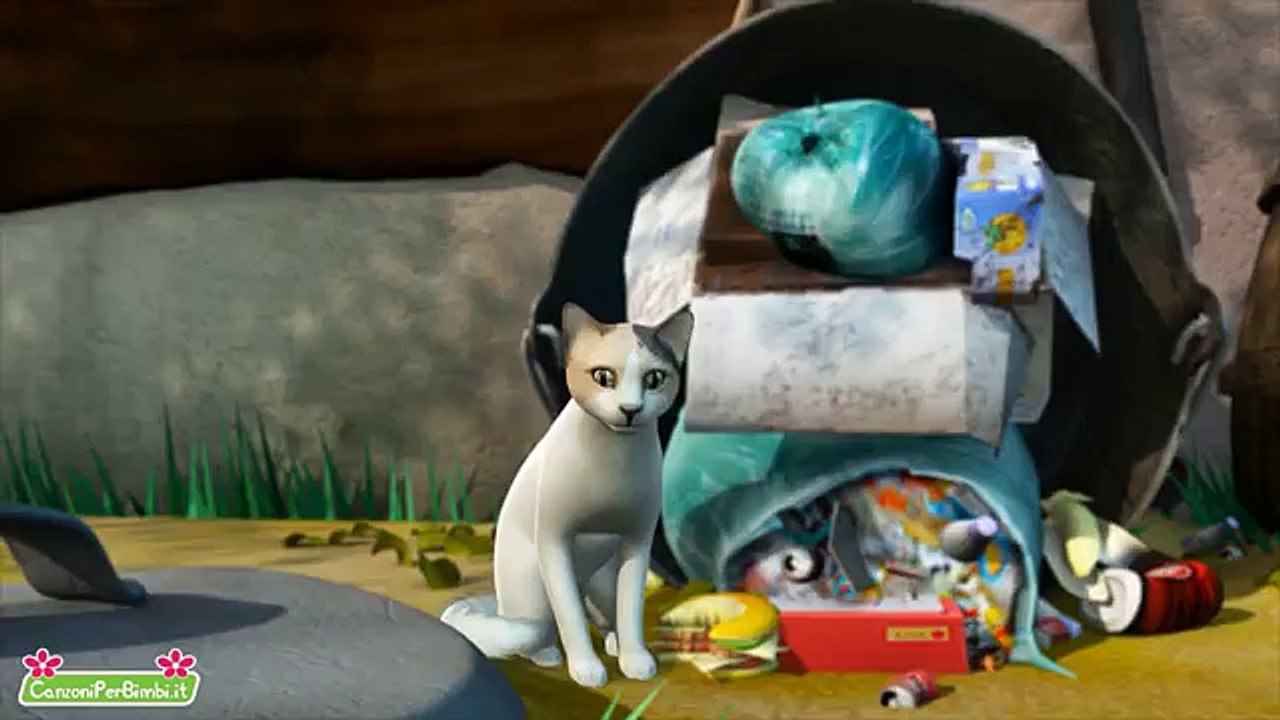 Il gattone