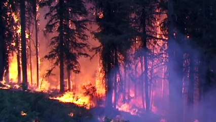 Scientists Link Faraway Fires To High Ozone Levels In Pacific - HD